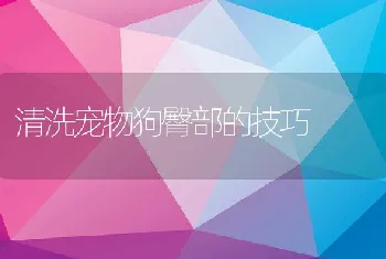 清洗宠物狗臀部的技巧