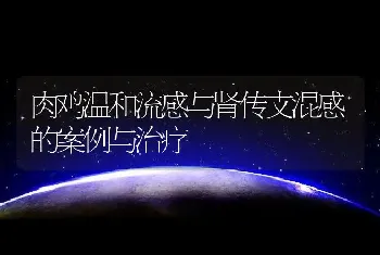 肉鸡温和流感与肾传支混感的案例与治疗