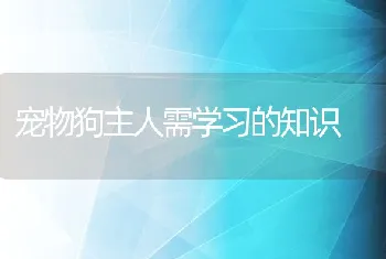 宠物狗主人需学习的知识