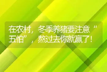 在农村，冬季养猪要注意“五怕”，熬过去你就赢了！