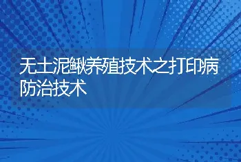 无土泥鳅养殖技术之打印病防治技术