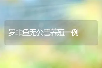 罗非鱼无公害养殖一例