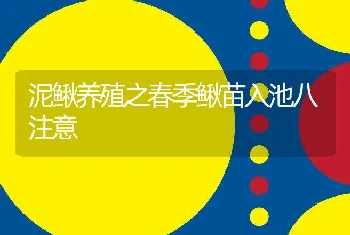 泥鳅养殖之春季鳅苗入池八注意