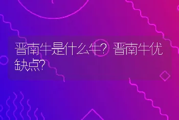 晋南牛是什么牛？晋南牛优缺点？