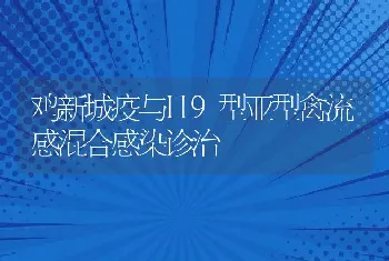 鸡新城疫与H9型亚型禽流感混合感染诊治