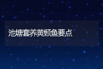 池塘套养黄颡鱼要点