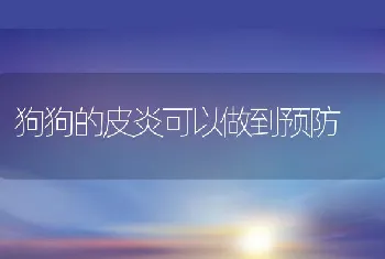 狗狗的皮炎可以做到预防