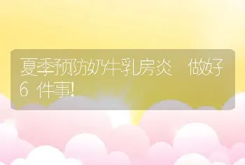 夏季预防奶牛乳房炎 做好6件事!