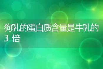 狗乳的蛋白质含量是牛乳的3倍