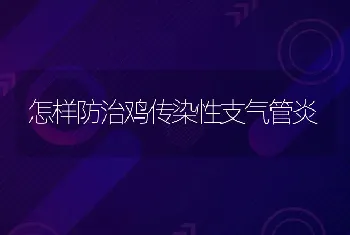 怎样防治鸡传染性支气管炎