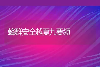 提高养鸡场水质的措施