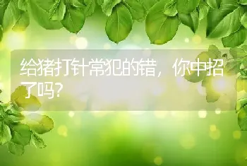 给猪打针常犯的错，你中招了吗？