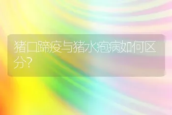 猪口蹄疫与猪水疱病如何区分？