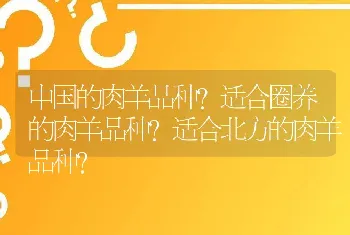 中国的肉羊品种？适合圈养的肉羊品种？适合北方的肉羊品种？