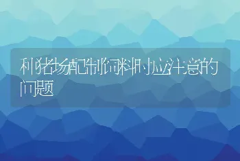 种猪场配制饲料时应注意的问题