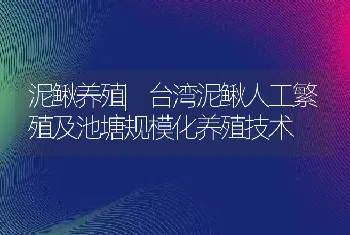 泥鳅养殖|台湾泥鳅人工繁殖及池塘规模化养殖技术