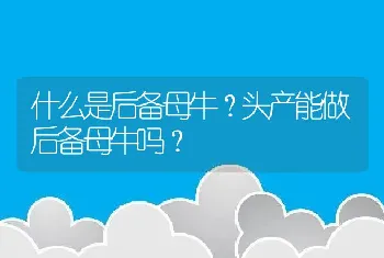 什么是后备母牛？头产能做后备母牛吗？