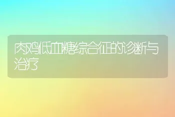 肉鸡低血糖综合征的诊断与治疗