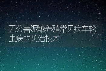 无公害泥鳅养殖常见病车轮虫病的防治技术