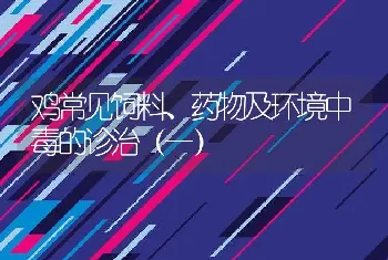 鸡常见饲料、药物及环境中毒的诊治（一）