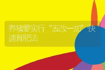 养猪要实行“五改一加”快速育肥法