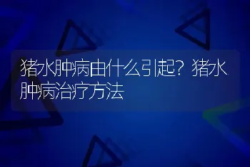 猪水肿病由什么引起？猪水肿病治疗方法