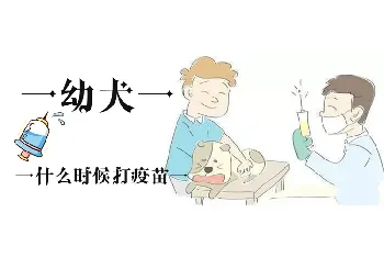 幼犬什么时候打疫苗