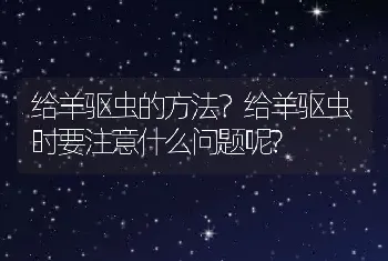 给羊驱虫的方法？给羊驱虫时要注意什么问题呢?