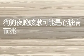 狗狗夜晚咳嗽可能是心脏病前兆