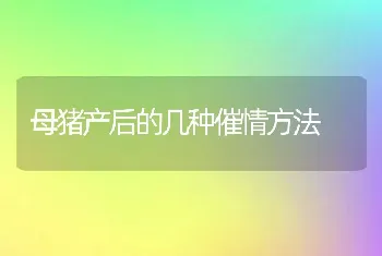 母猪产后的几种催情方法