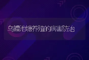 乌鳢池塘养殖的病害防治