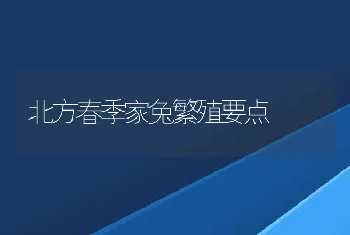 北方春季家兔繁殖要点