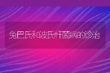 兔巴氏和波氏杆菌病的诊治