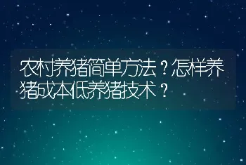 农村养猪简单方法？怎样养猪成本低养猪技术？