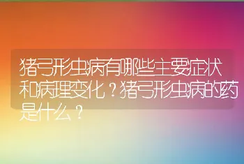 猪弓形虫病有哪些主要症状和病理变化？猪弓形虫病的药是什么？