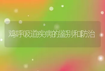 如何防治鸡中署