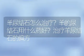 羊尿结石怎么治疗？羊的尿结石用什么药好？治疗羊尿结石的偏方