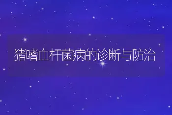 鸭病流行的特点