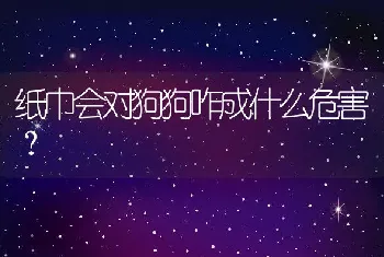 纸巾会对狗狗咋成什么危害？