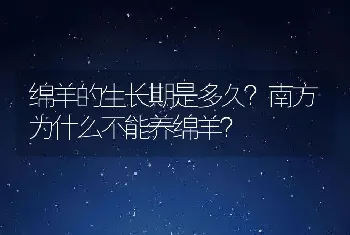 绵羊的生长期是多久？南方为什么不能养绵羊？