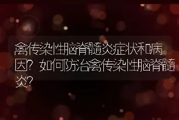 禽传染性脑脊髓炎症状和病因？如何防治禽传染性脑脊髓炎？