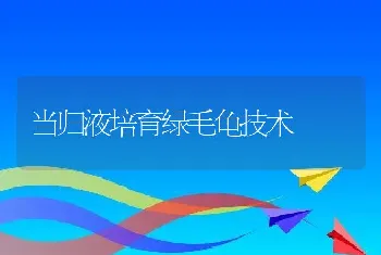 当归液培育绿毛龟技术