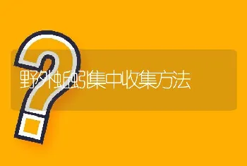 野外蚯蚓集中收集方法