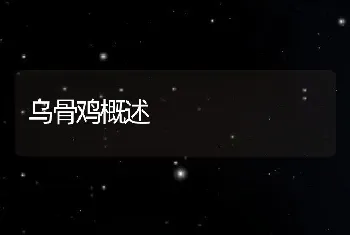 乌骨鸡概述