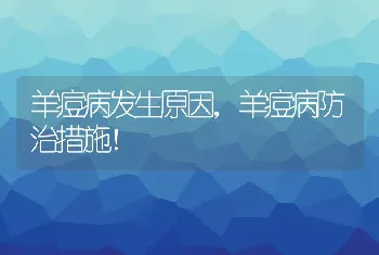 羊痘病发生原因，羊痘病防治措施！