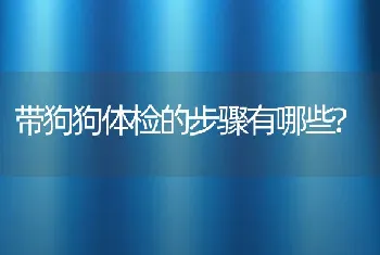 带狗狗体检的步骤有哪些?