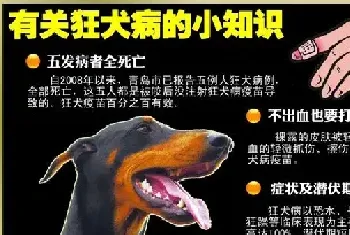 狂犬病的早期症状以及狂犬疫苗使用的注意事项