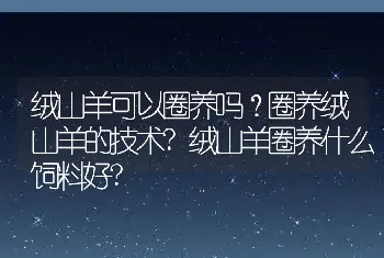 绒山羊可以圈养吗？圈养绒山羊的技术?绒山羊圈养什么饲料好?