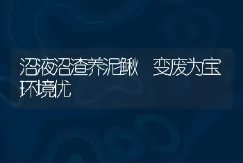 沼液沼渣养泥鳅 变废为宝环境优