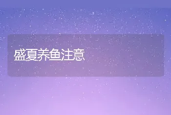 盛夏养鱼注意